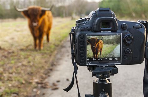 Field Photography