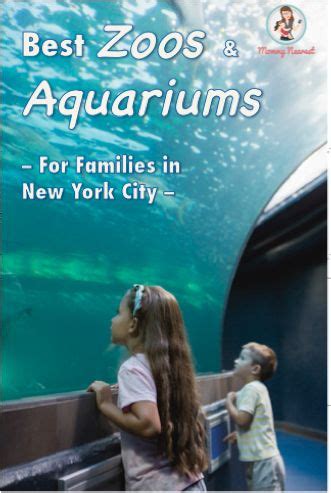 Best Zoos and Aquariums for Families in New York City | New york city ...