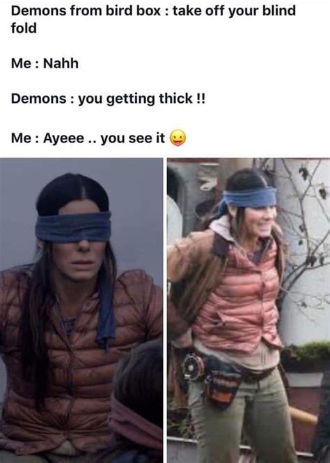 Bird Box "memes" are hot right now : r/ComedyCemetery