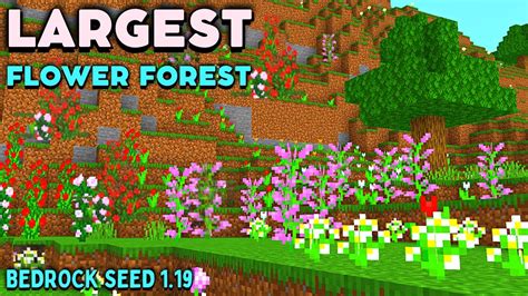 Minecraft Pe Big Flower Forest Seed - Home Alqu