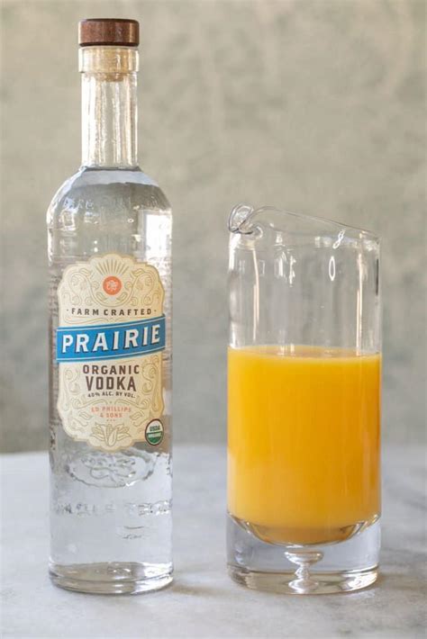 Vodka and Orange Juice Cocktail -Screwdriver - Sugar and Charm