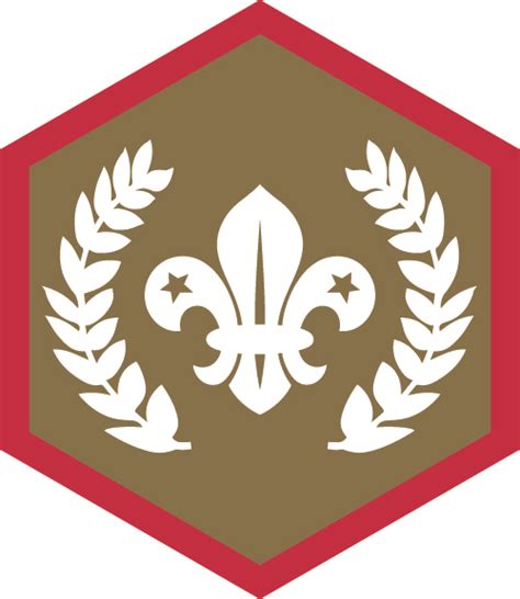 Chief Scout Gold Award - 3rd Hitchin Scout Group