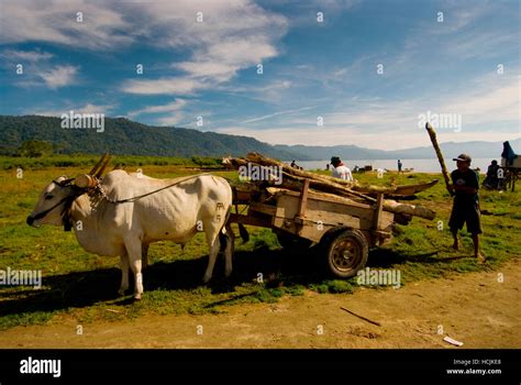 The village nearest to the shore of Lore Lindu Lake within Lore Lindu ...