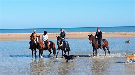 Beach Rides