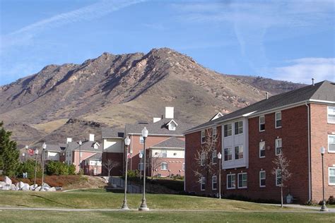 Dorm Room Decorating - The Daily Utah Chronicle