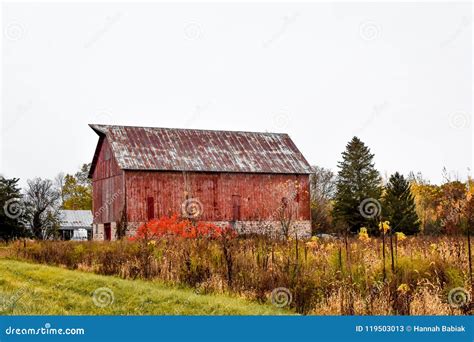 Rustic Old Barn with Field of Fall Colors Stock Image - Image of sitting, autumn: 119503013