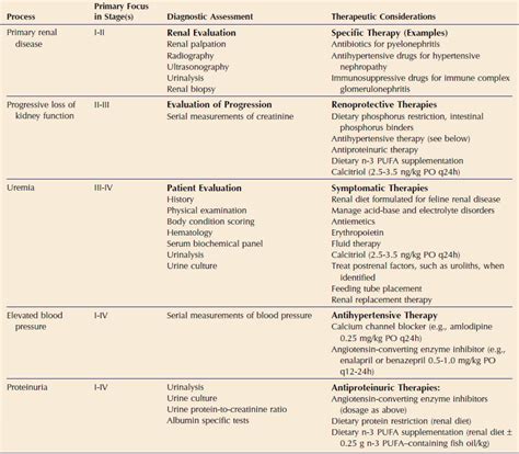 Linking Treatment to Staging in Chronic Kidney Disease | Veterian Key