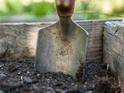 Bacteria wars are raging in soil, and it's keeping ecosystems healthy ...