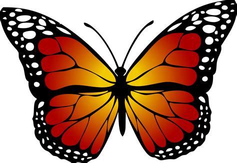 Monarch butterfly Yellow Clip art - red butterfly png download - 2310* ...