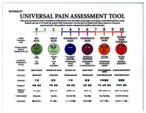 likert_pain_scale by Viverae Health - Issuu