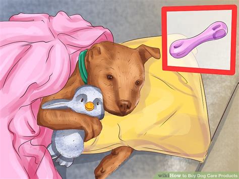 How to Buy Dog Care Products: 11 Steps (with Pictures) - wikiHow