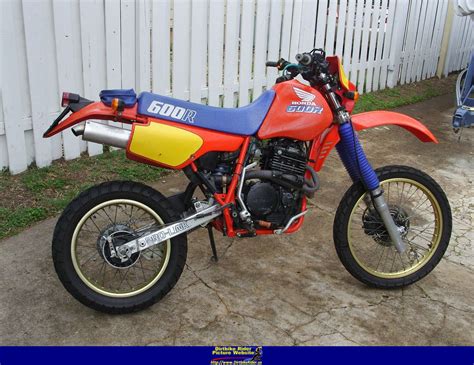 Honda Honda XR600R - Moto.ZombDrive.COM