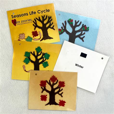 Seasons Life Cycle - Flash Cards – Heartfelt Stories