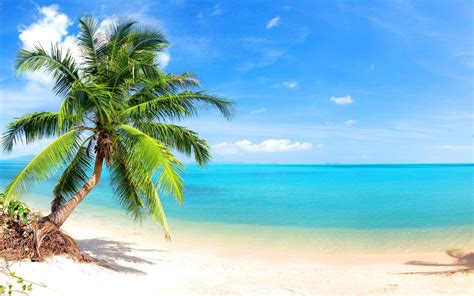 Tropical Beach Scenes Wallpapers - Top Free Tropical Beach Scenes Backgrounds - WallpaperAccess