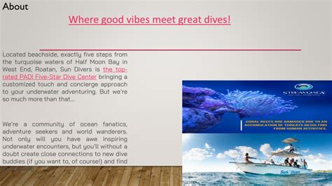 PPT - Roatan Dive Packages Sundiversroatan.com PowerPoint Presentation - ID:11613216