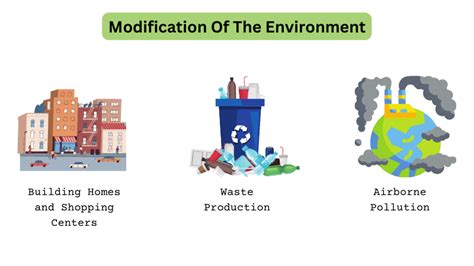 Human Environment Interaction: Our Impacts Explained - GreenCitizen