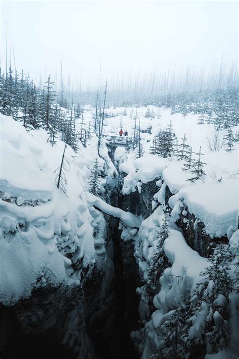 Kootenay National Park Winter Location Scouting | Film & Forest BC and Banff Elopement Photographers