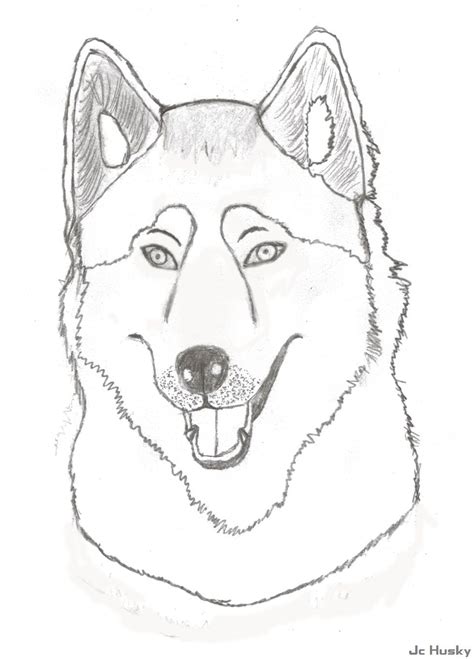 Siberian Husky Coloring Pages - Coloring Home