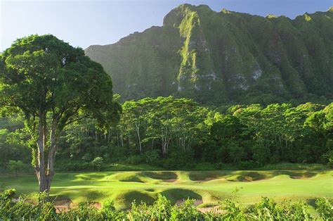 Koolau Golf Club golf course #3 Photograph by David L Moore - Fine Art America