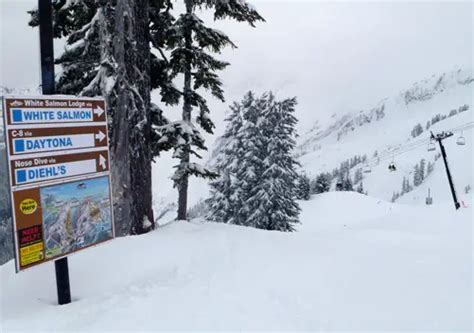 Mount Baker Ski Area Ratings | Mt Baker Ski Resort