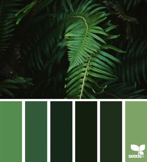 Color Nature | Green color pallete, Nature color palette, Black color palette