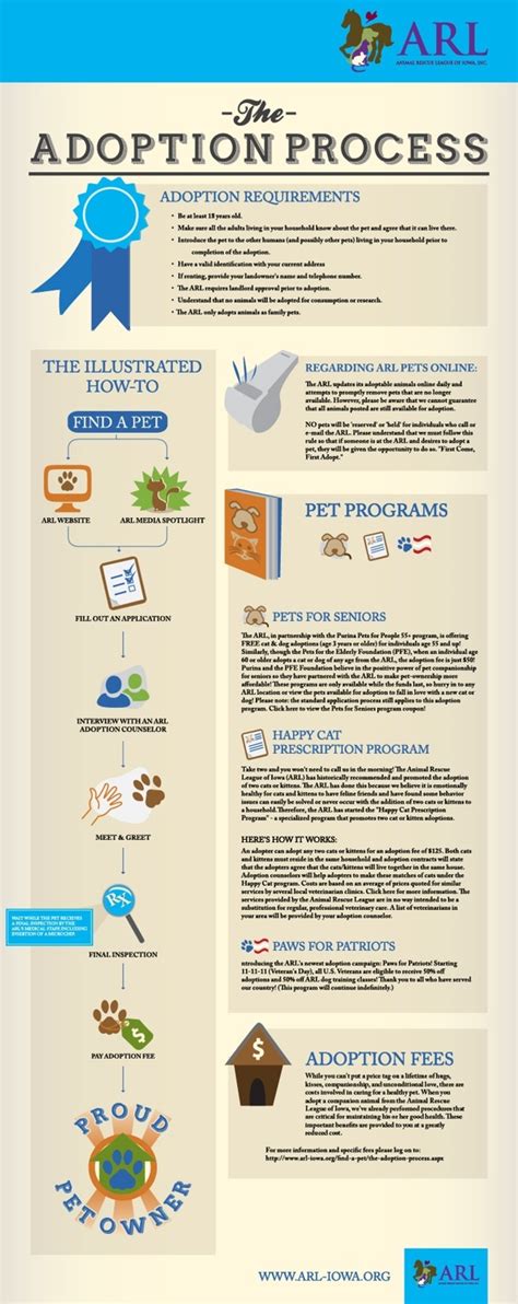 Pet Adoption Process | Pet wellness, Dog infographic, Pet adoption