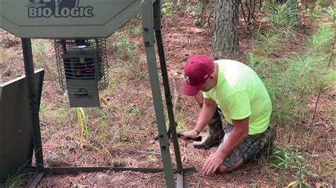 Deer feeder placement and set up. - YouTube