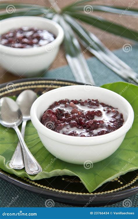 Black Sticky Rice With Coconut Milk [Thai Dessert Stock Photo - Image of healthy, gourmet: 23766434