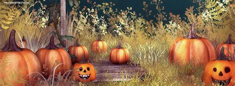 Fall Pumpkin Facebook Cover Photos - Cover With Zipper