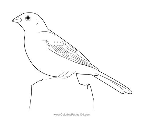 Yellowhammer Bird Coloring Page for Kids - Free Buntings Printable ...