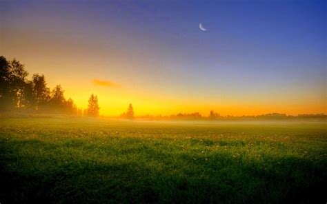 sky, Sun, Sunset, Moon, Night, Trees, Field, Grass, Fog, Nature ...