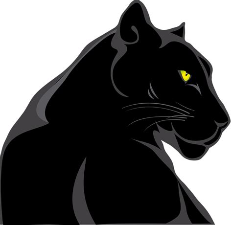 Download Panther, Animals, Feline. Royalty-Free Vector Graphic - Pixabay