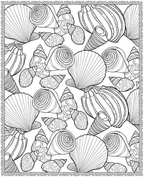 Sea Shell Coloring Page Inspirational Starfish And Shells Coloring Page | The Best Porn Website