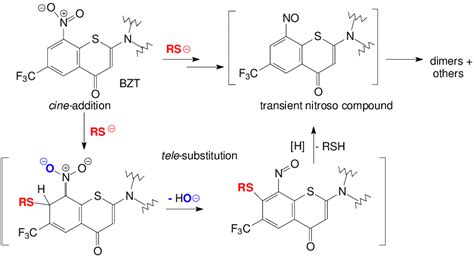 Scheme 9. Chemical activation (cine-addition of thiolate anion) of ...