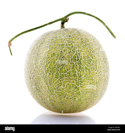 Rock Melon fruit Stock Photo - Alamy