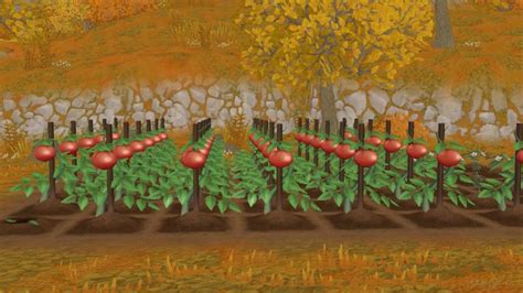 Best Spring Crops in Story of Seasons: A Wonderful Life - Siliconera