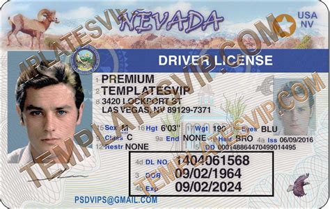 Nevada (NV) – Drivers License PSD Template Download 2021 – Templates ...