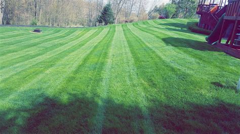 Grass Cutting & Lawn Maintenance | Treesdale Landscape Company