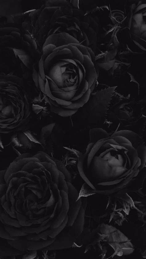 Aesthetic Black Flower, BTS Aesthetic Flower HD phone wallpaper | Pxfuel