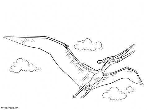 Pteranodonte 1024X768 para colorir