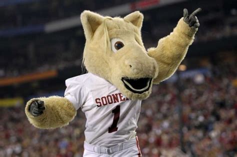 Boomer Sooner Wagon | Ou Sooners Mascot | Ou sooners, Mascot, Boomer sooner