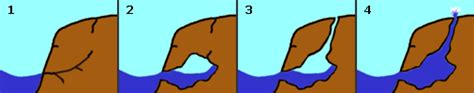 What Are Blowholes And How Dangerous Are They? » ScienceABC