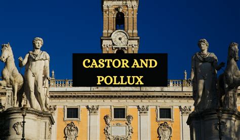 In Greco-Roman mythology, Castor and Pollux (or Polydeuces) were twin brothers, one of whom was ...