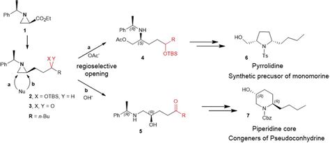 Frontiers | Regioselective ring opening of aziridine for synthesizing azaheterocycle