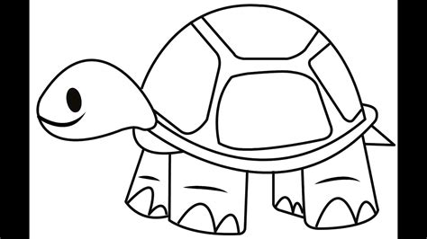 how to draw a desert tortoise step by step - pigeon-genetics-colors-and-patterns