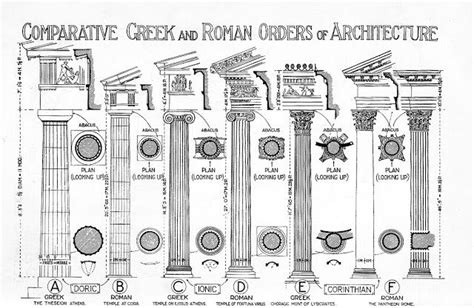 Wilson+Gunn Architects: Classical Orders | Architectural orders, Roman architecture, Classical order