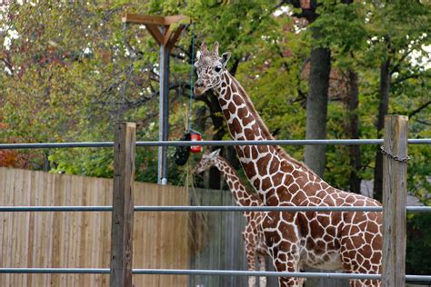 Topeka Zoo, Gage Park | Topeka zoo, Topeka, Park