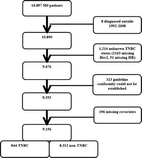 Cohort diagram of the study group. | Download Scientific Diagram