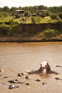 Sayari Camp | Tented Safari Camp | Tanzania | Serengeti | Classic Africa