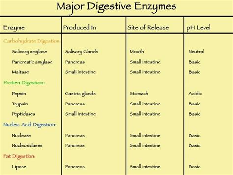 Enzymes